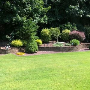 Meet your Posher, Rita